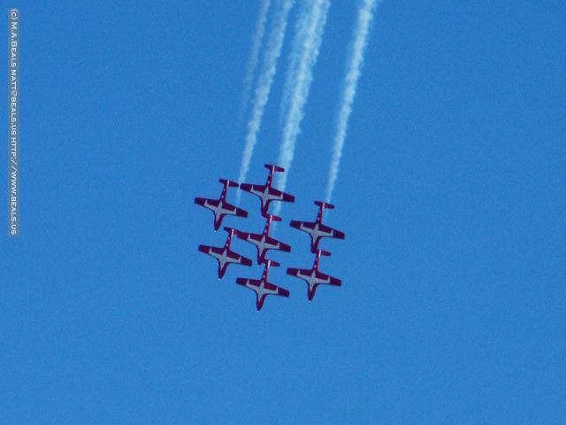 0687-Snowbirds
